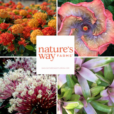 Nature’s Way Farms Launches New Plant Collection to Cultivate Wellness